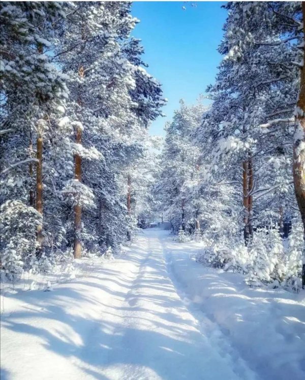 зимние пейзаж