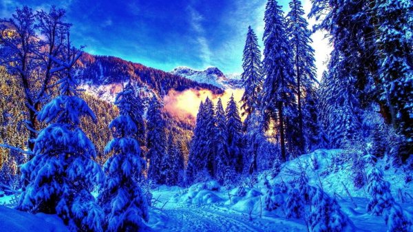 красивые зимние пейзажи