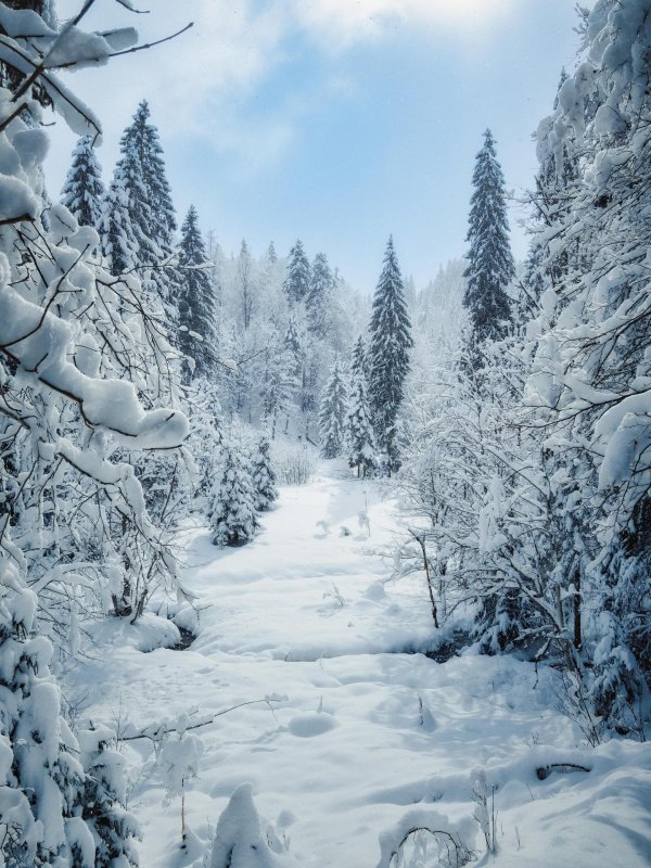 карелия зимой