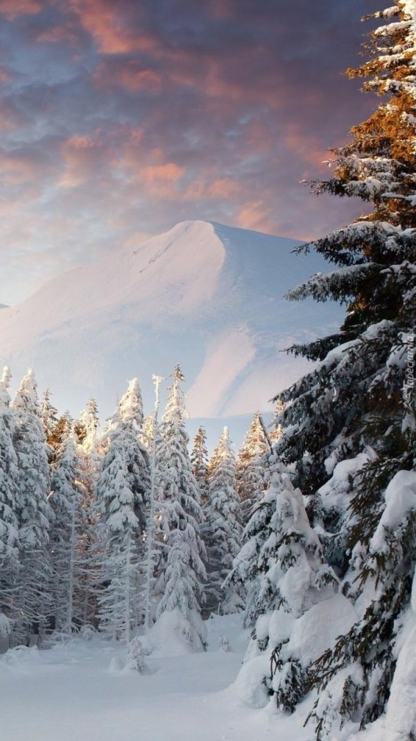 красивые зимние пейзажи