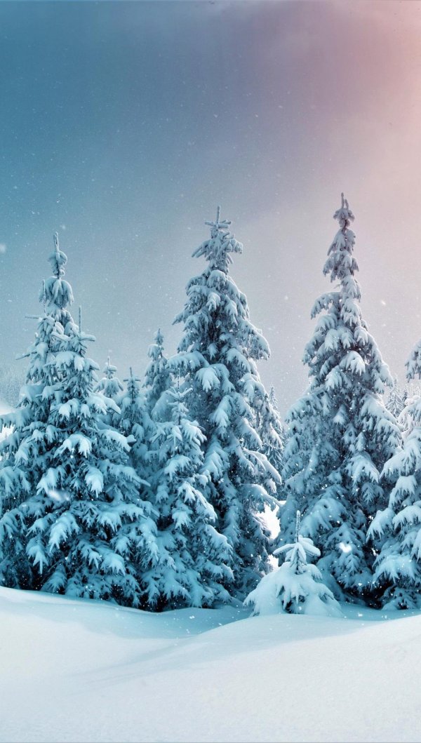 фон зимнего леса