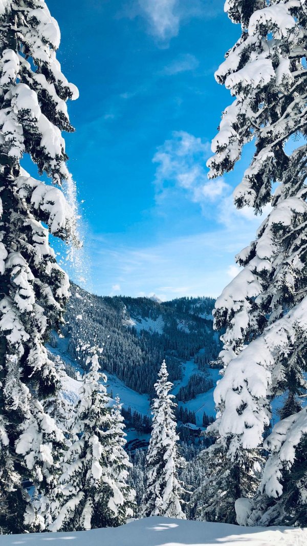 зимняя природа