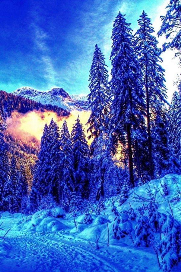 красивые зимние пейзажи