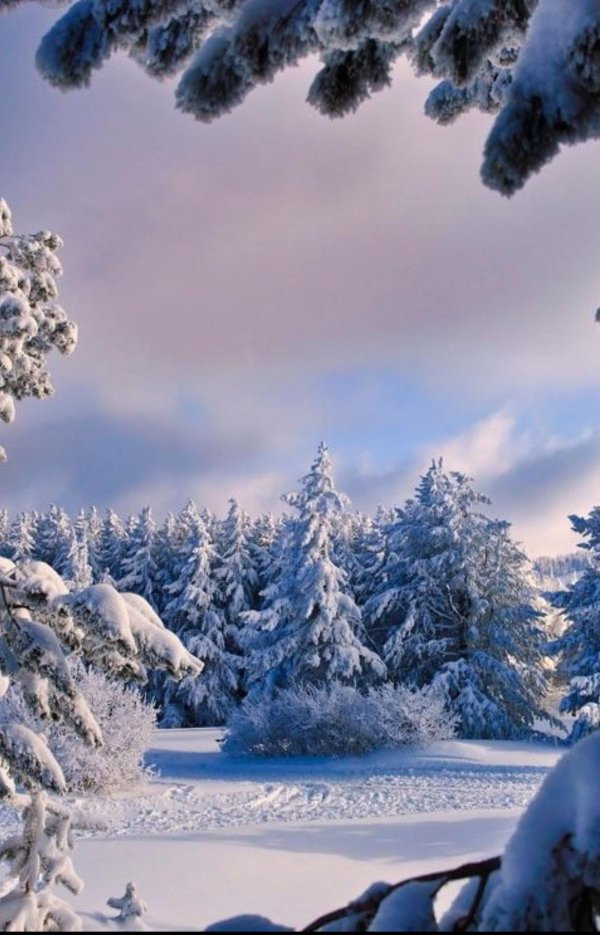 пейзажи природы зима