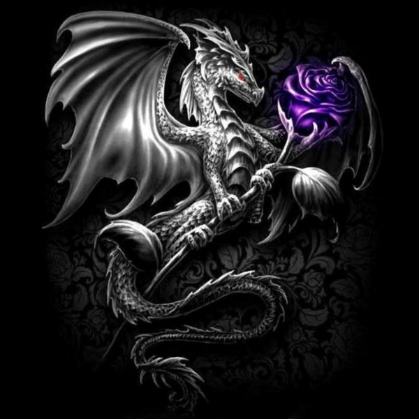 драконы эскиз