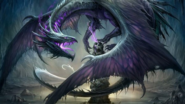 картины драконов