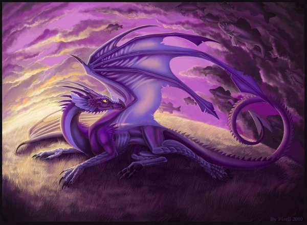 фиолетовые драконы