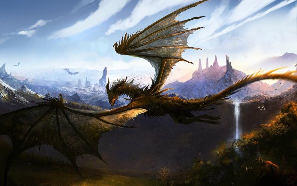 красивые драконы