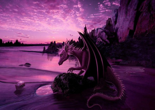 фиолетовые драконы
