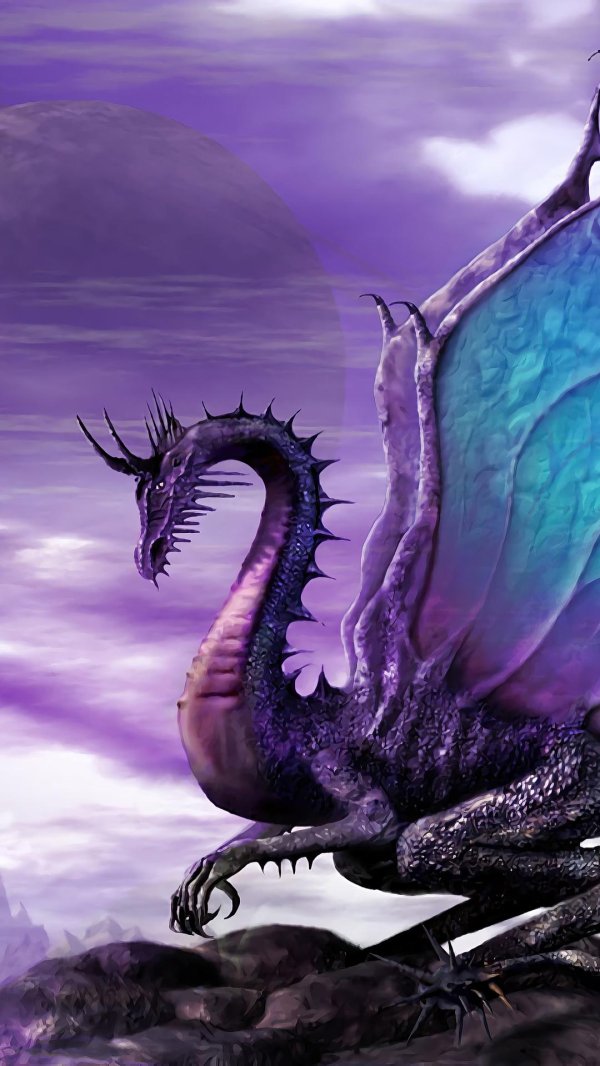 пурпурные драконы