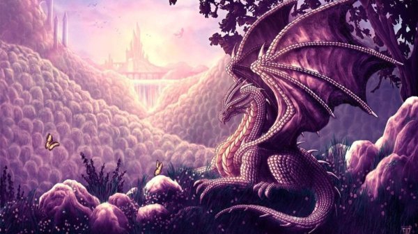фиолетовые драконы