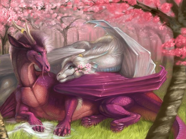 влюбленные драконы