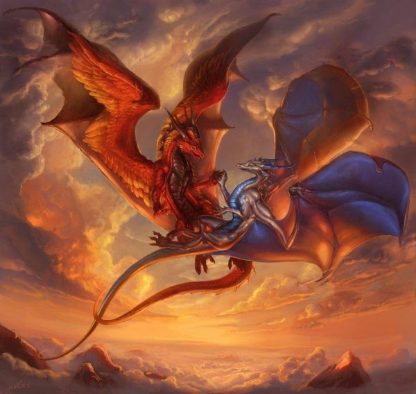 добрые драконы