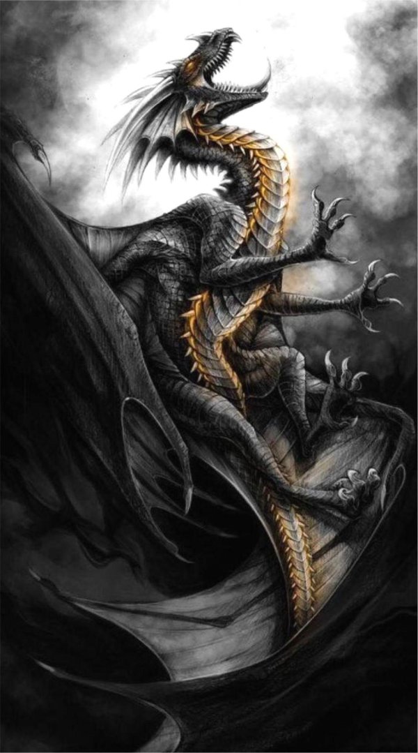 красивые драконы