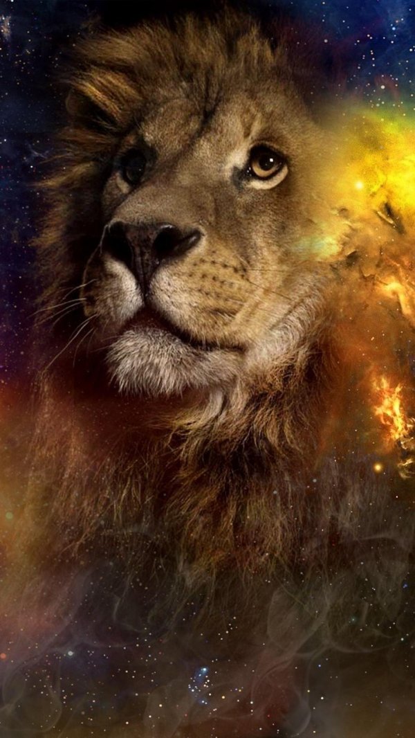 аслан хроники нарнии