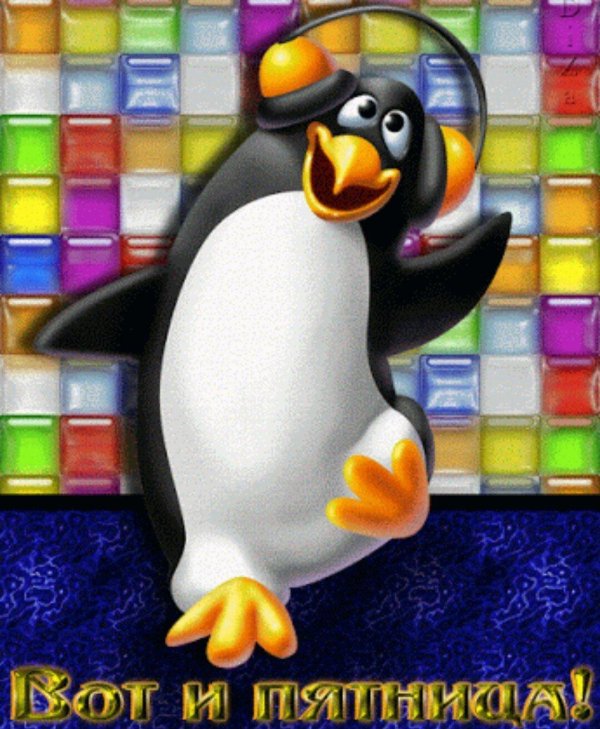 мультяшные пингвины