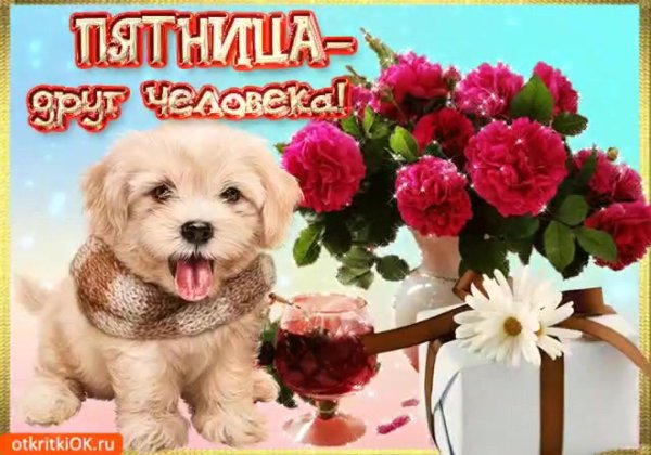 чудесной пятницы