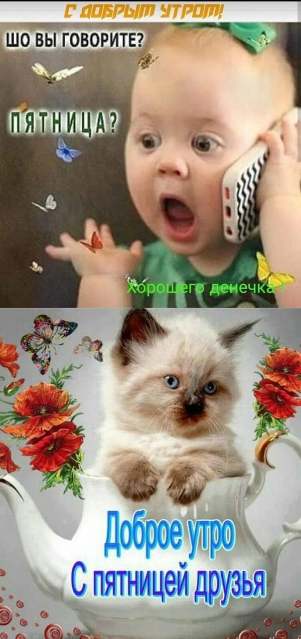 открытки с добрым утром прикольные