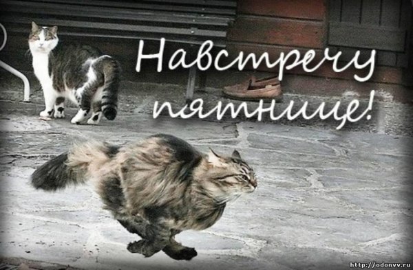 С пятницей с надписями