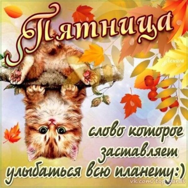доброе осеннее утро пятницы прикольные