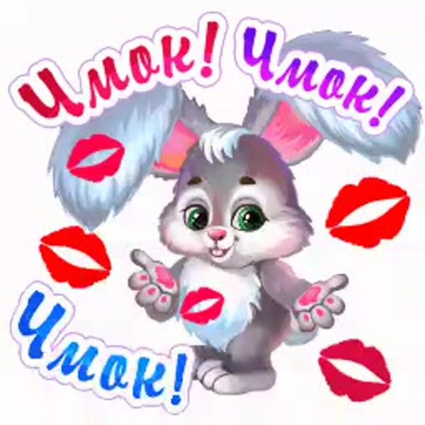 любимому зайчику