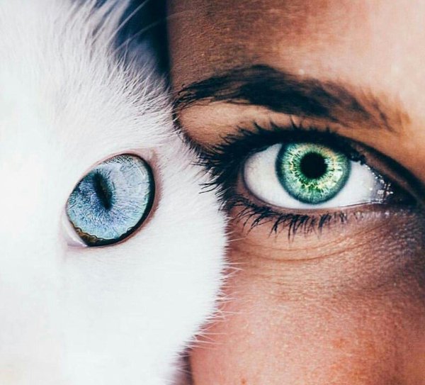 с красивыми глазами