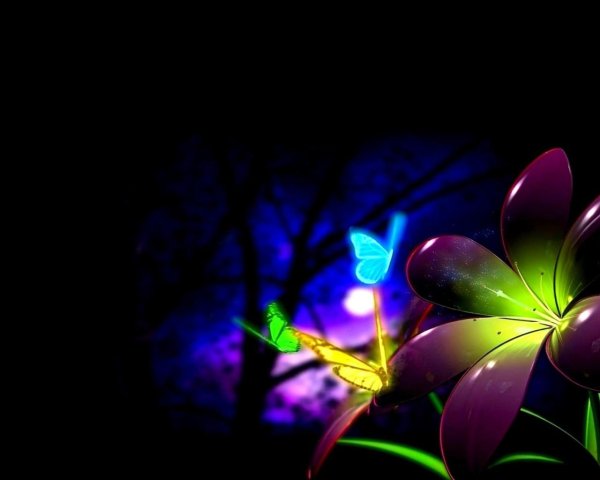 ночной цветок