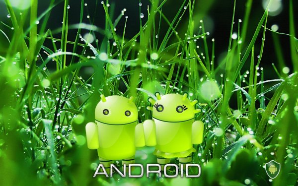 android cell phone
