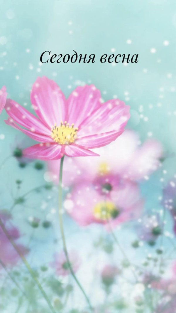 цветочный фон высокого качества