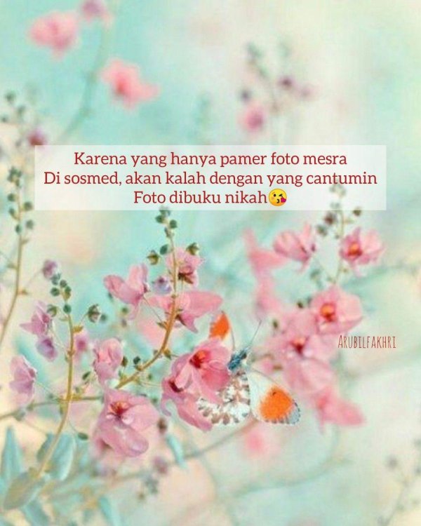 цветочные фоны