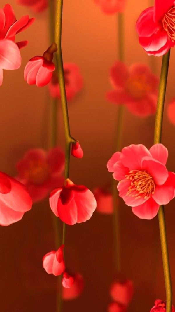 цветочные фоны