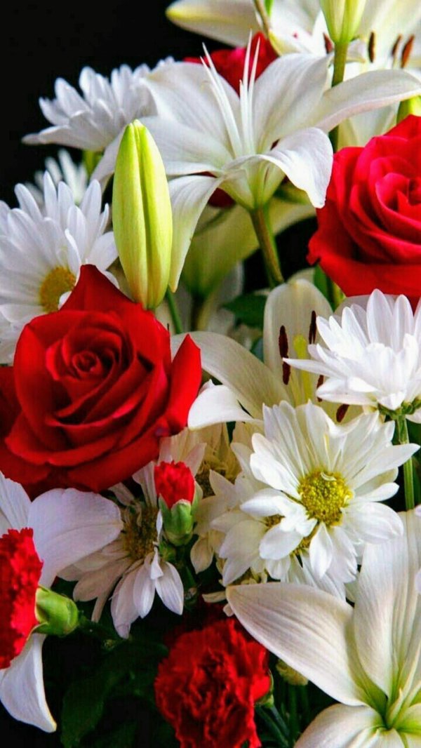 букет красивый цветов