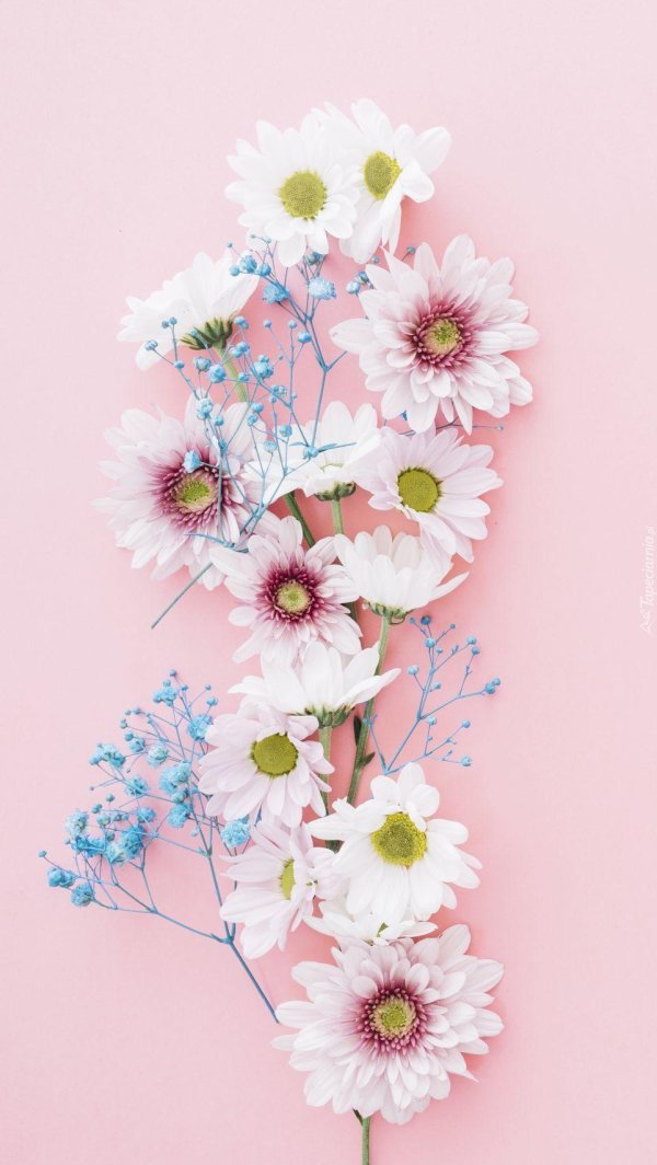 поздравительная открытка