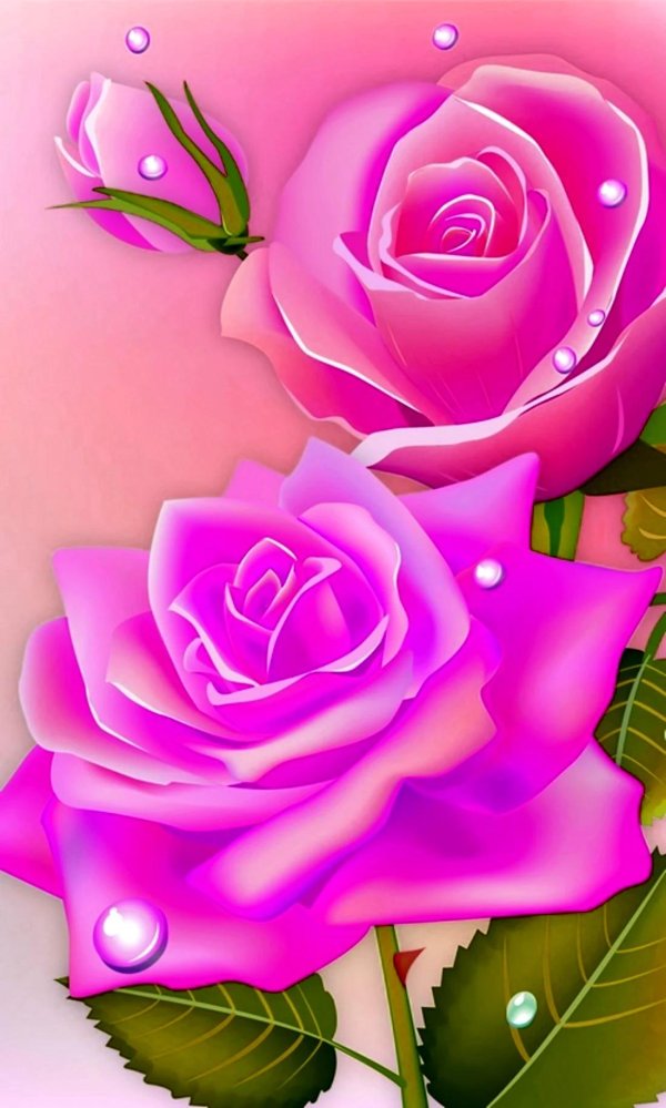 роза открытка