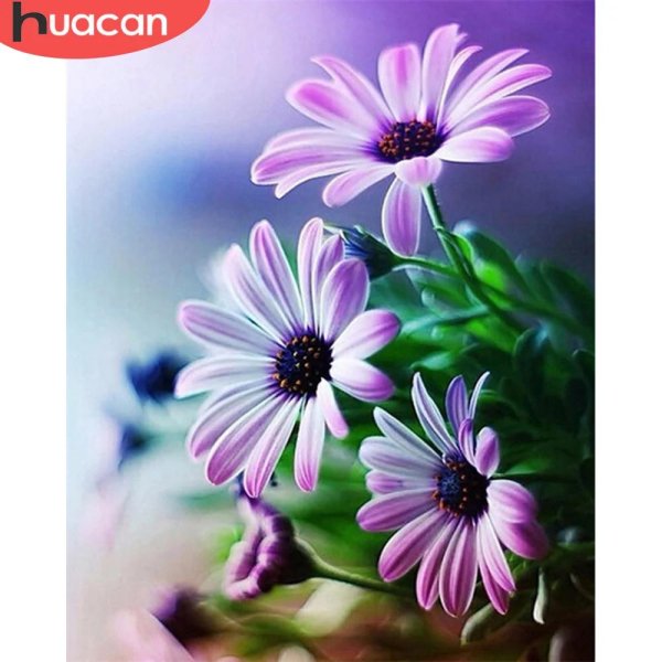 остеоспермум сиреневый