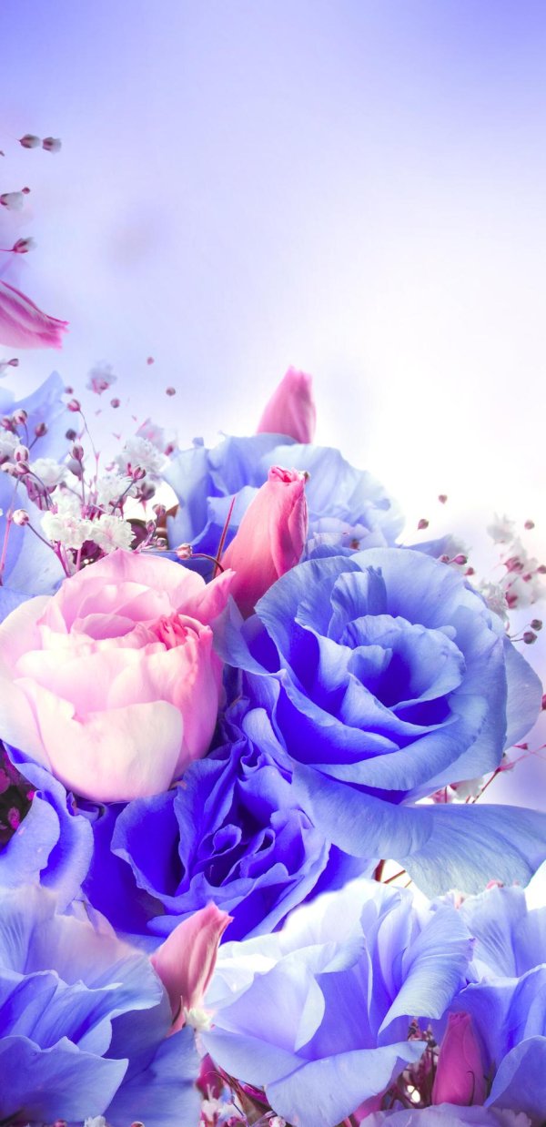 цветочный фон для поздравления