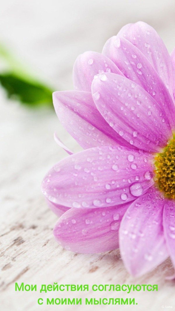 цветочек красивый