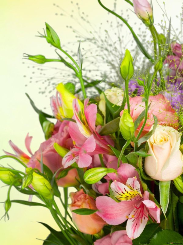 букеты эустомы