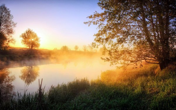 утро пейзаж