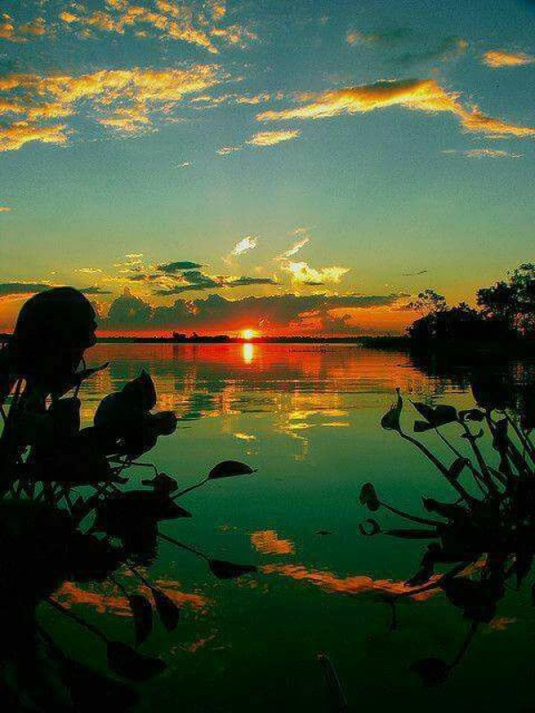 закаты пейзажи