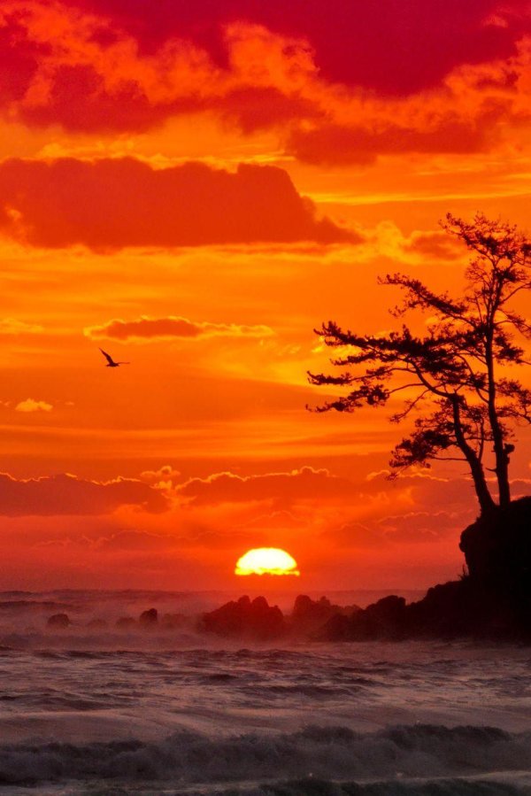 закат в японии