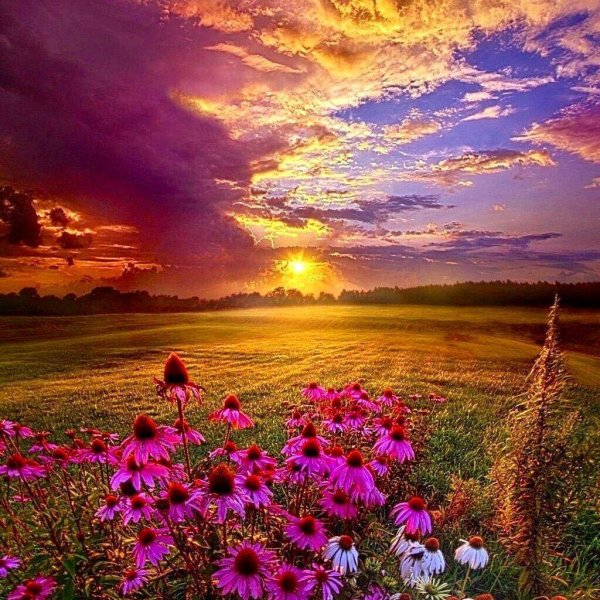 красивые рассветы