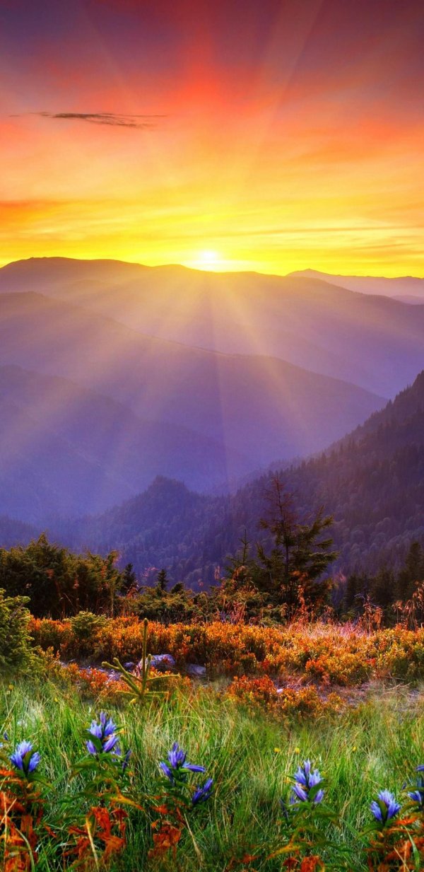 природа пейзаж