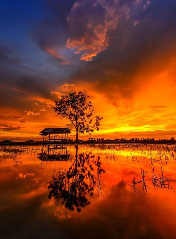 пейзажи природа