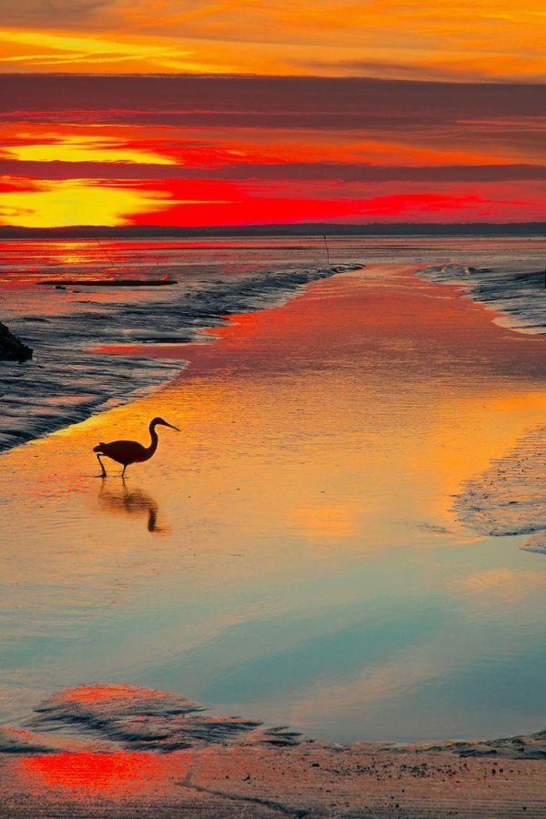 натуральные красивые закаты