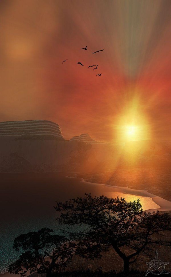 закат с деревьями