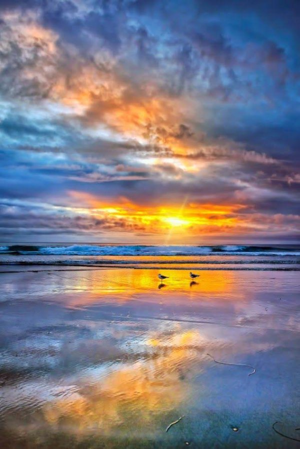 пейзаж океан