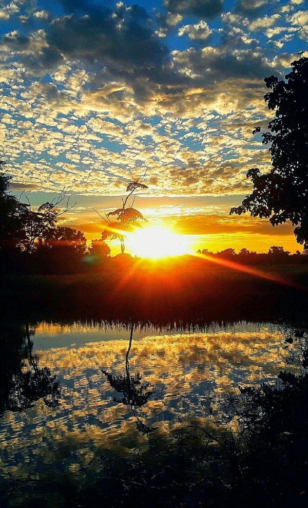 пейзаж рассвет