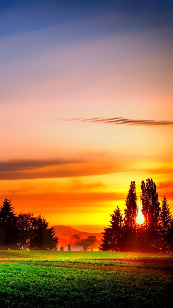 красивые рассветы