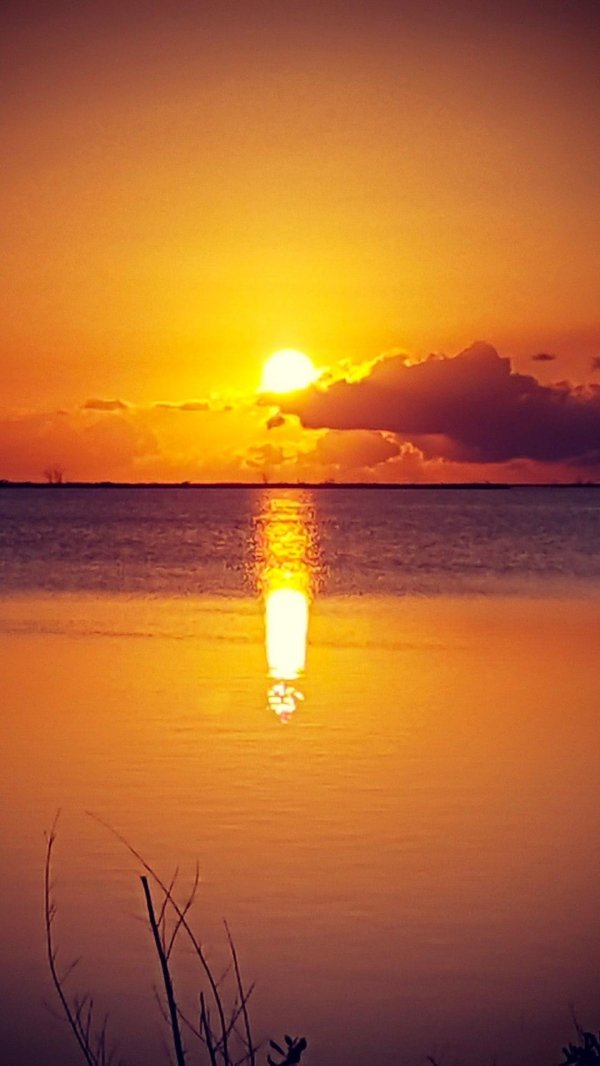 закат природа